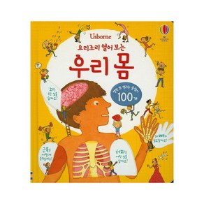 Usbone요리조리 열어 보는 우리 몸:열면 또 열리는 플랩이 100개, 어스본코리아