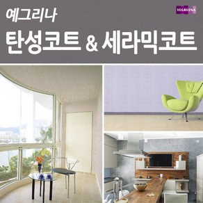 노루페인트 예그리나 탄성코트 &세라믹코트 18L, 21.세라믹코트 펄실버, 1개