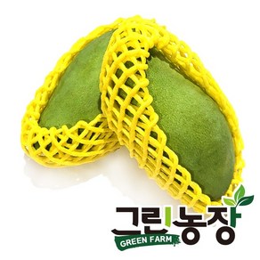 아라몰 태국 그린망고 (Thailand Geen Mango), 1박스, 1kg (3-4과)