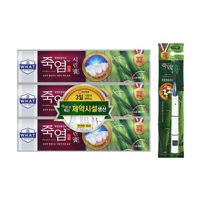 죽염 시린고 치약 120gX3+죽염칫솔1입