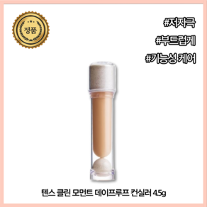 텐스 클린 모먼트 데이프루프 컨실러 [예약배송] Tense Clean Moment Day Poof Conceale, 1개, #1.0 Fesh Beige, 4.5g