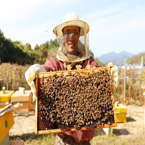 밤꿀 100% 국내산 천연벌꿀 진짜꿀