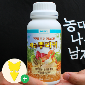 [농대나온남자] 뿌리커 500ml 대유 구근 빅 비대제 감자 고구마 당근 마늘 양파, 1개