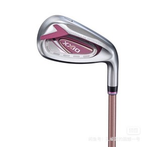 젝시오12 여성 단품 아이언 6번 5번 MP1200L, 5번/L