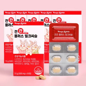 우고래빗 실리마린 건간 플러스 밀크씨슬 500mg, 6박스, 30정