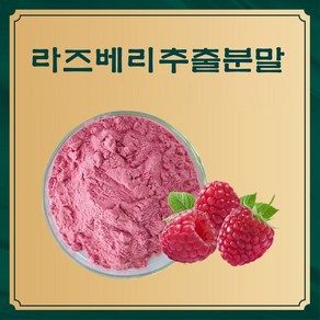 엔트코 라즈베리농축분말, 1kg, 1개