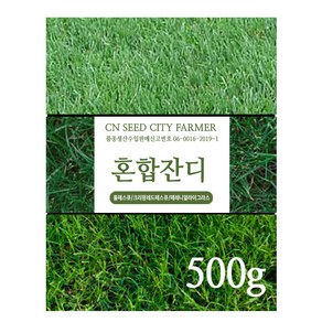 잔디씨앗 잔디씨 양잔듸 골프장 정원 공원용, 톨페스큐 500g, 1개