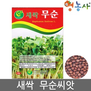 새싹 무순 씨앗 30g 토경 수경재배 겸용 무우씨 종자 영농사, 1개