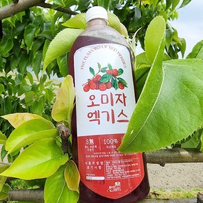 올바른새움푸드 국산 100% 문경 오미자엑기스 오미자원액, 1개, 1.5L