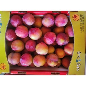 의성 김천 영천 경북 노지햇자두 5kg, 1세트, 자두 2kg 소과(35G내외)/개당30-40g