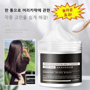 손상 모발용 헤어팩 극손상 헤어팩 단백질 손상모 복구 헤어팩, 500g, 1개