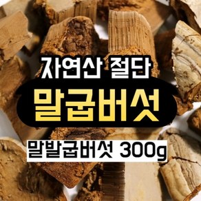 최상급 자연산 말굽버섯 300g 말발굽버섯 말발굽 국내산 말굽