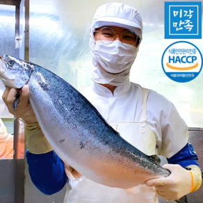 [미각만족] HACCP 얼리지않은 노르웨이 생연어 연어회 필렛 2kg 1kg 500g 300g, 03.생연어 필렛 1kg(라운드), 1개, 생연어필렛1kg