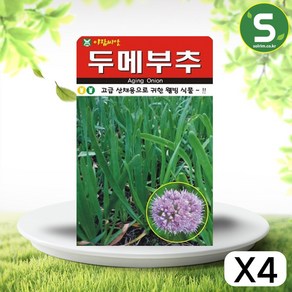 솔림텃밭몰 두메부추씨앗 100립 두메부추 씨앗 산채용 웰빙식물, 4개