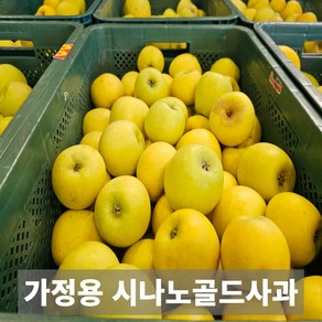 재구매1위 금메달농수산 국내산 가정용 시나노골드사과, 1박스, 2kg 13-15과 한입과