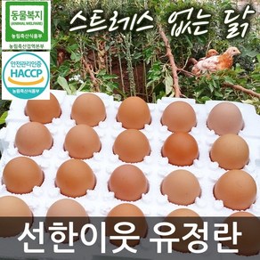 선한이웃 동물복지 유정란 40구/60구/80구 택일 친환경 무항생제 HACCP 안전관리인증 축산물 난각번호#2, 40구, 1개