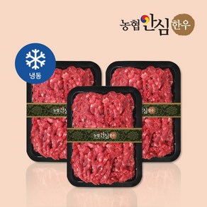 [농협안심한우] 1+등급 한우 다짐육 600g/900g_옵션별 상이, 3개