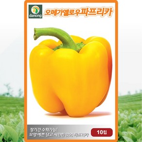 오메가 옐로우 파프리카 씨앗 10립 노랑 파프리카 씨 칼라 피망 종자