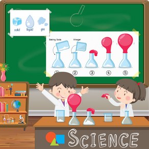 1 2학년이 꼭 해봐야 할 실험 키트 모음 5종 교과서 과학 필수실험 중요한 실험 초등과학실험, 실험 6종(친환경 포함)