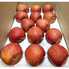 ( 호섭이네 농장 ) 경북 선물용 부사 사과 (정품) 5kg, 1개, 5kg 대과 (정품)