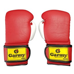 Gamy [Gamy] 가미 프로시합용글러브 선수용글러브 6온스, 레드, 1개
