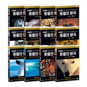 [DVD] BBC 동물의 왕국 12종 (BBC The Wild Life Special 12 DVD SET)