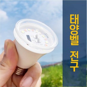 태양벨 식물등 200 PPFD 따스한 햇빛 햇살아래 식물용 LED 조명 12w, 태양벨 선샤인 식물등