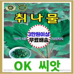 [OK씨앗] [취나물] 취나물씨앗 종자(오케이씨앗), 1개