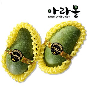 아라몰 베트남 베이비 그린망고 (Vietnam Baby mango)