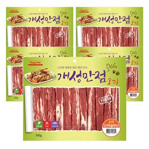 개성만점 강아지 육포 반려견간식 300g 5개세트 소고기/치킨/오리/연어/황태, 5개