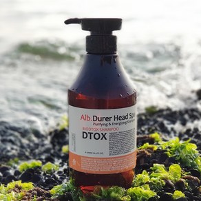 두피열 쿨링 DTOX 바이오디톡 두피스케일링 샴푸 1000ml, 1L, 1개