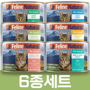 K9 FELINE 고양이 주식캔 170g 6종 x 6개묶음 (닭고기/양고기/소고기/양과연어/소와생선/닭과양), 1개