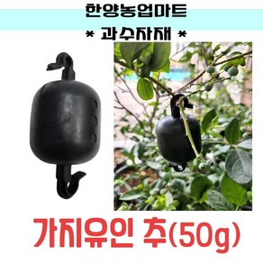 과수자재-가지유인추 50g 가지 과일나무 교정 사과 과수, 10개