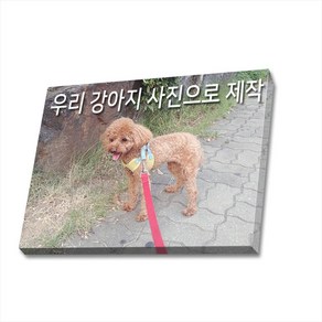 귀여운 강아지 사진 캔버스액자 (고객님 강아지 사진으로도 제작 가능합니다), DOG36(주문제작)