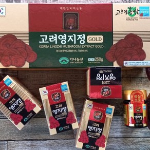 [고려홍삼] 고려홍삼 고려영지 고려영지정골드250g 고려영지정50g x 5병 영지버섯 영지차 약초 약재, 250g, 1개