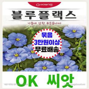 [OK씨앗] [블루플랙스] 아마꽃씨앗 종자(오케이씨앗), 1개