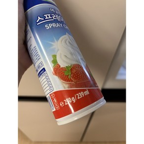 무가당 휘핑크림 스프레이 갸또 가나슈 베트남 소금커피 만들기 250g, 1개