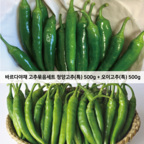 바르다야채 청양고추 500g + 오이고추 묶음판매 (특), 1개, 1kg(오이고추만)