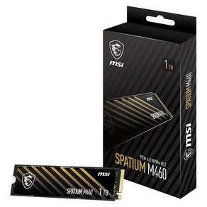 MSI SPATIUM M460 PCIe 4.0 NVMe M.2 (1TB)