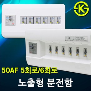 노출형 분전반 분전함 5회로 6회로 차단기함 배전함 배전반 완전조립형 누전차단기 배선차단기 5분기 6분기 30AF 50AF 노출혈분전함 차단기 국산 전기 차단기포함 3회로 4회로, 04. 상도전기 노출형 분전함 6회로, 1개