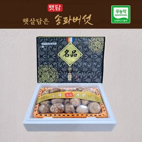 [선물세트3+1] 햇담송화버섯 VIP 최고급형 1kg 농협에 납품하는 이천 무농약 햇살가득담은 송고버섯, 1세트