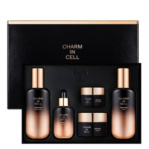 참존 참인셀 프레스티지 스킨케어 세트 (스킨 110ml + 에멀젼 110ml + 크림 50ml + 세럼 50ml + 아이크림 30ml)