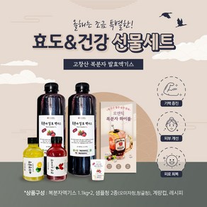 프리미엄 고창산 토종 복분자 생발효엑기스 900mlX2병, 2개