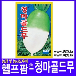 헬프팜 청마골드무 25g 가을무 종자 씨앗 동원종묘, 1개