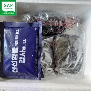 2024년 세척 오디 3kg(1kgx3팩) 냉동 생과 진공포장 GAP 토종 산뽕 햇오디 산지직송, 1박스, 3kg