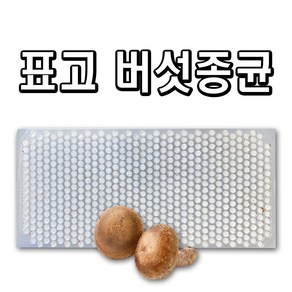 친환경마켓 표고버섯종균 1판(606알) 표고버섯종균 버섯종균 참나무 표고 성형 접종형 캡슐형, 3개, 1800