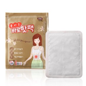 팜텍 바로핫팩 파스형 붙이는핫팩 40g, 20개