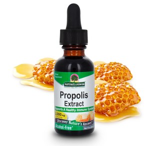 네이쳐스앤서 프로폴리스 1000mg 리퀴드, 1개, 30ml