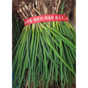 산지직송 국내산 흙쪽파 1kg 1박스 흙쪽파1kg 쪽파 파 흙쪽파 쪽파 쪽파3 파 실파 농가직배송 국산쪽파 국산흙쪽파 국내산흙쪽파 흑쪽파 촉파