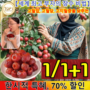 1/1+1[세계 부자의 장수 비법]씨 없음 공심 산사 산사나무 열매 과일포 동결 건조, [500g] 250g*1+1.